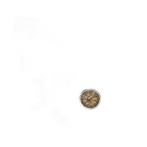 Bague argent sterling 925 crâne chef viking